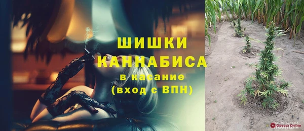 Альфа ПВП Белокуриха