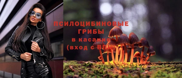 jwh Богородицк